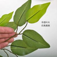 uploads/erp/collection/images/Home Garden/CongDing/XU0612125/img_b/XU0612125_img_b_3
